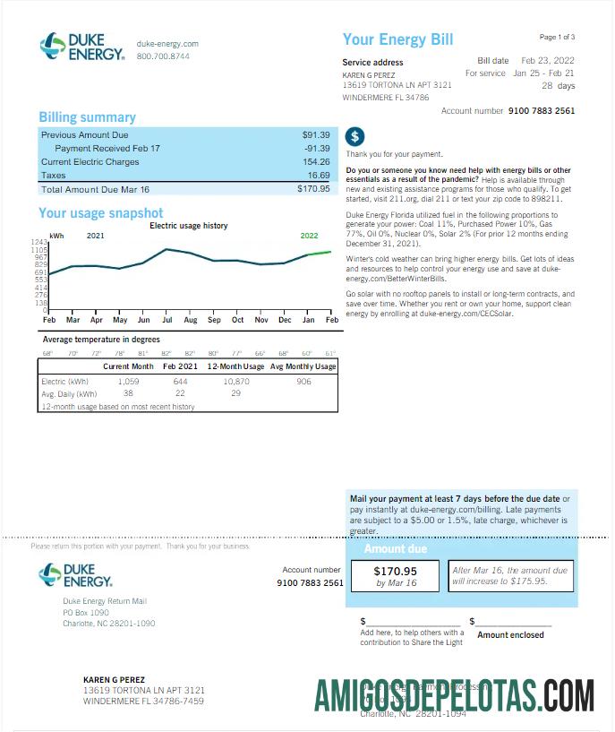 Premium AS DUKE ENERGY Tagihan Tagihan Word and PDF templat, versi 2