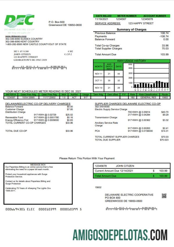 Profesional AS Delaware Electric Co op Tagihan Tagihan templat in Word and PDF format