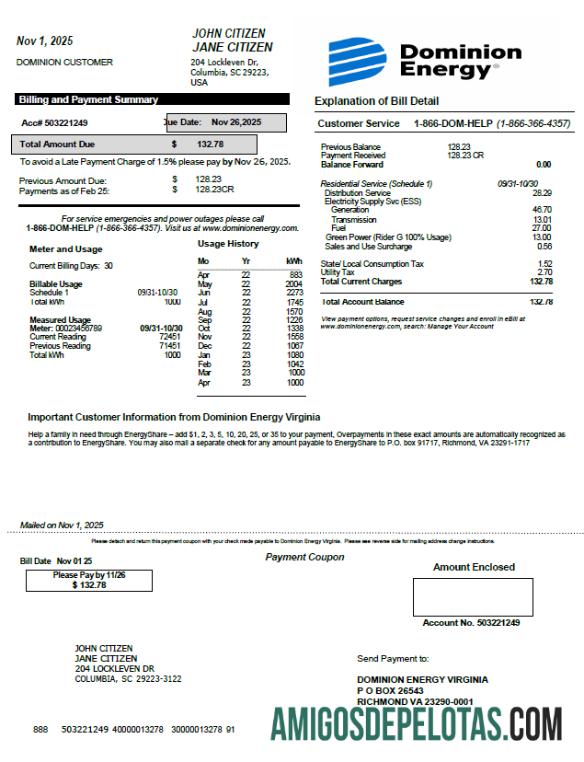 Profesional AS Dominion Energy Tagihan Tagihan templat in Word and PDF format, versi 2