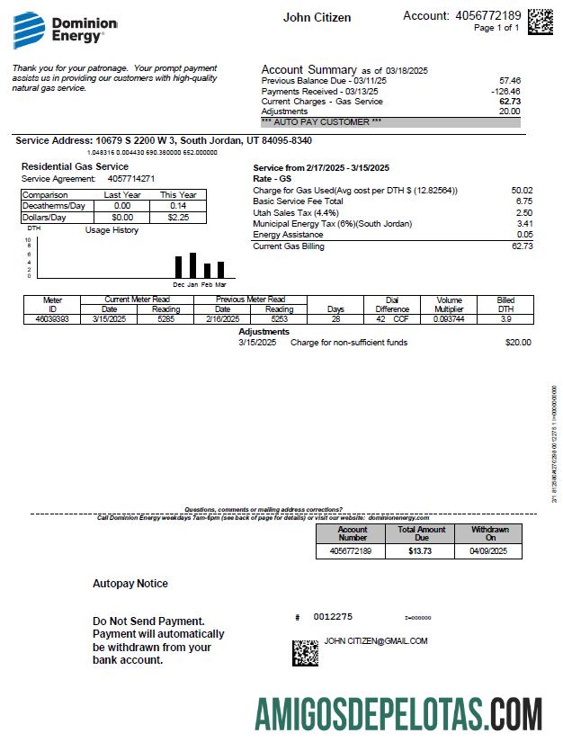 Profesional AS Dominion Energy Tagihan Tagihan templat in Word and PDF format, versi 3