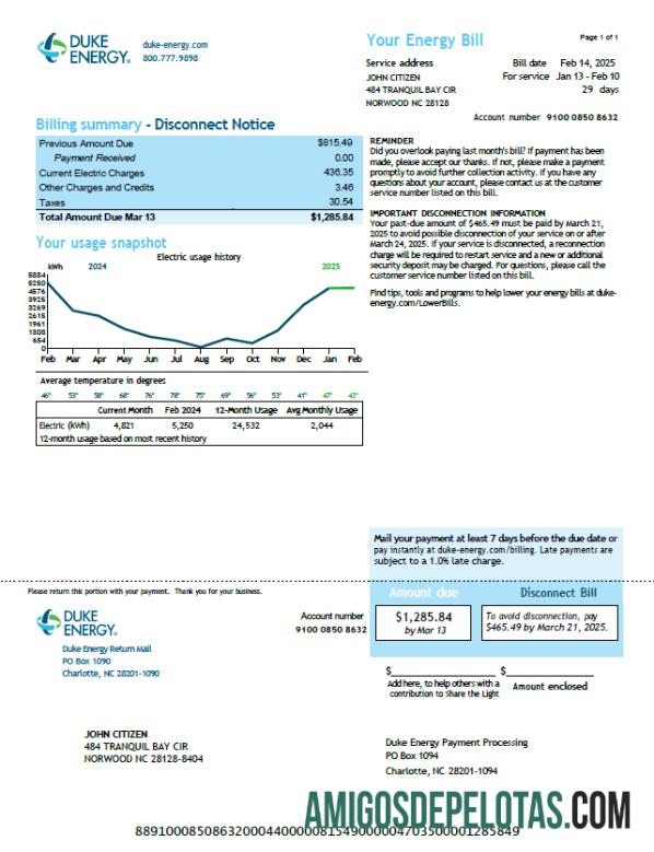 Profesional AS Duke Energy Tagihan Tagihan templat in Word and PDF format, versi 2