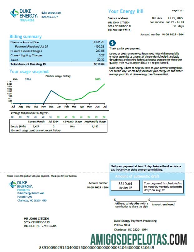 Profesional AS Duke Energy Tagihan Tagihan templat in Word and PDF format, versi 3