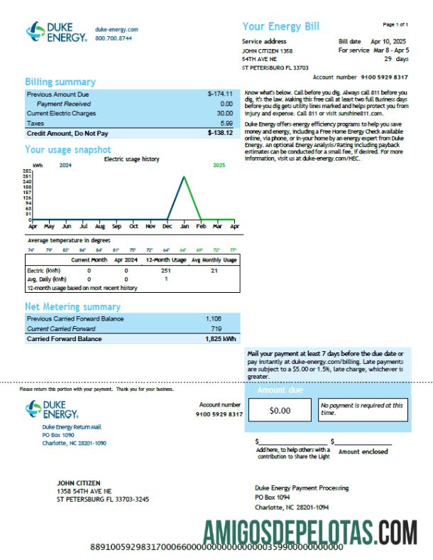 Premium AS Duke Energy Tagihan Tagihan templat in Word and PDF format, versi 4