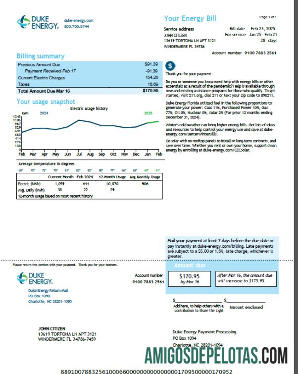 Dapat Diedit AS Duke Energy Tagihan Tagihan templat in Word and PDF format, versi 5