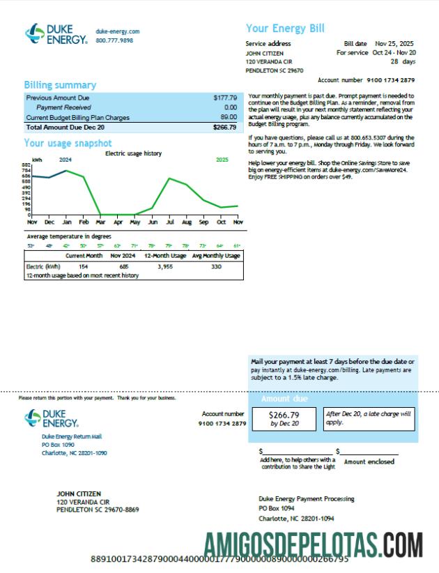 Dapat Diedit AS Duke Energy Tagihan Tagihan templat in Word and PDF format, versi 6