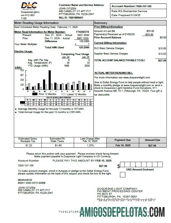 Profesional AS Duquesne Light Perusahaan Tagihan Tagihan templat in Word and PDF format