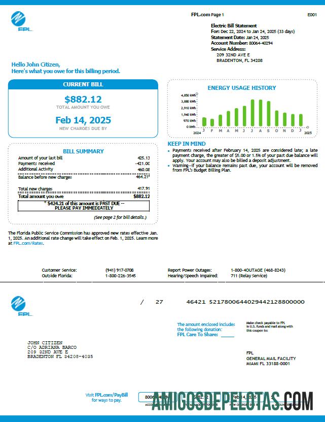 Profesional AS FPL Tagihan Tagihan templat in Word and PDF format, versi 5