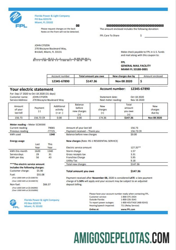 Premium AS Florida Power & Light Perusahaan (FPL) Listrik Tagihan Tagihan templat in Word and PDF format