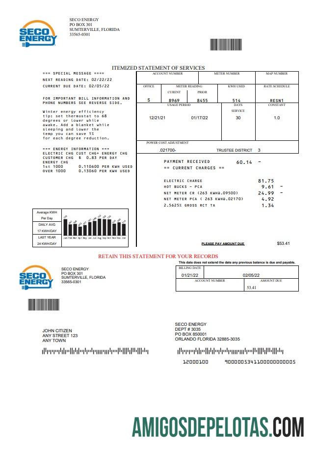 Realistis AS Florida Seco Energy Tagihan Tagihan templat in Word and PDF format