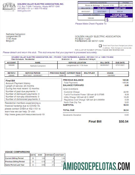 Premium AS GVEA Tagihan Tagihan Word and PDF templat