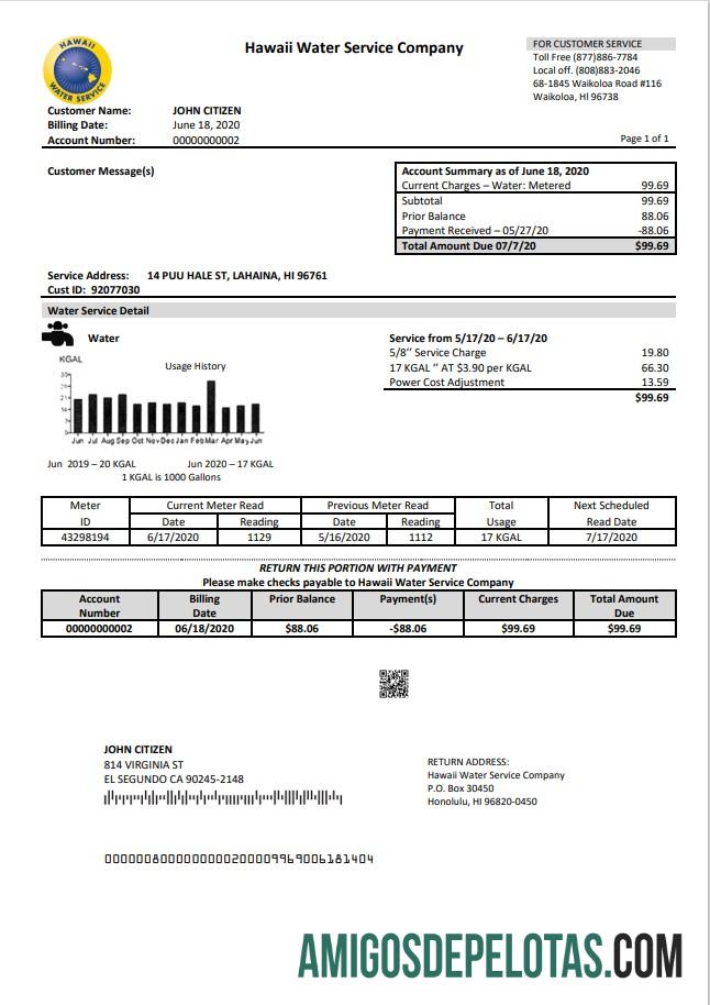 Premium AS Hawaii Air layanan Perusahaan Tagihan Tagihan templat in Word and PDF (.doc and .PDF) format
