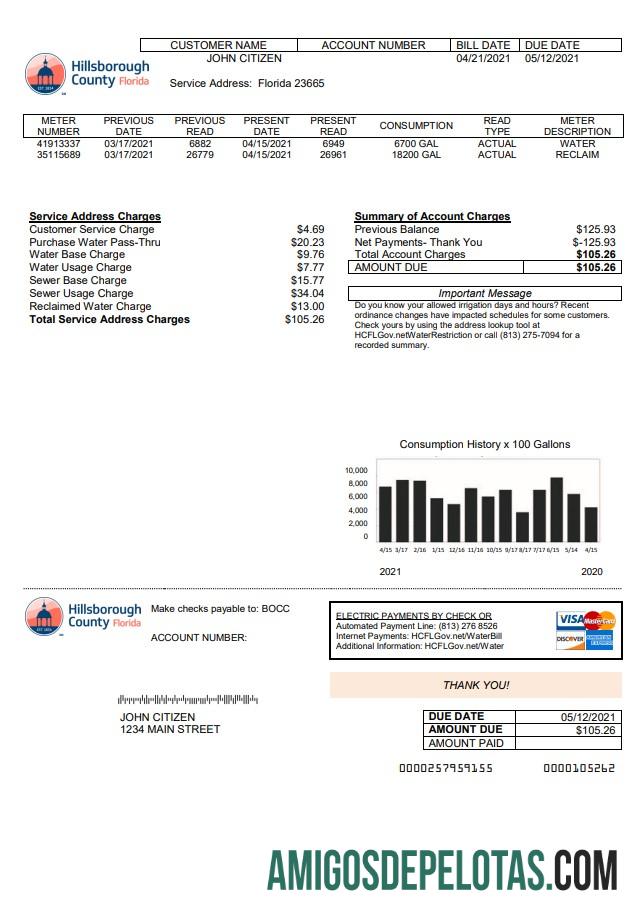 Premium AS Hillsborough County Tagihan Tagihan templat in Word and PDF format