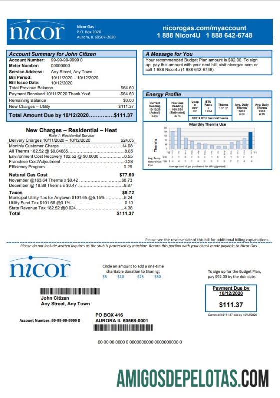 Premium AS Illinois Nicor Gas Tagihan Tagihan templat in Word and PDF format