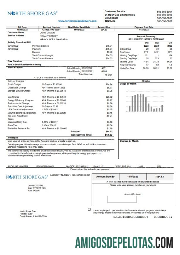Realistis AS Illinois North Shore Gas Tagihan Tagihan templat in Word and PDF format