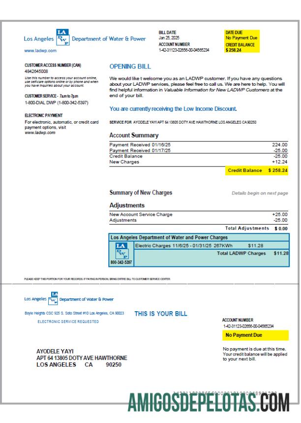 Premium AS LA DWP Tagihan Tagihan templat in Word and PDF format, versi 2
