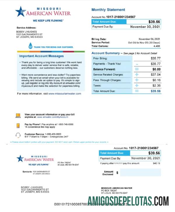 Premium AS MISSOURI AMERICAN Air Tagihan Tagihan Word and PDF templat