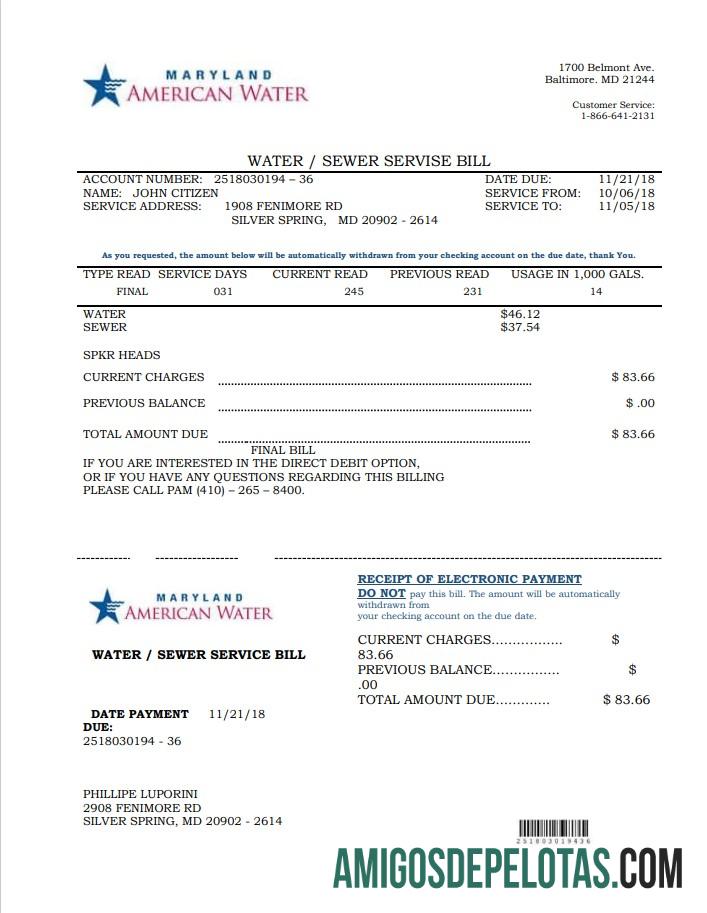 Profesional AS Maryland American Air Tagihan Tagihan templat in Word and PDF format