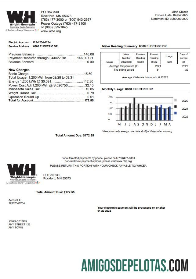 Profesional AS Minnesota Wright Hennepin Tagihan Tagihan templat in Word and PDF format
