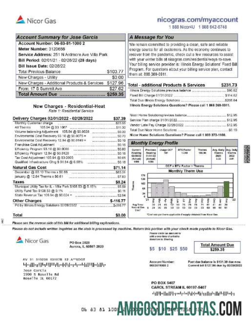 Berkualitas AS NICOR Gas Tagihan Tagihan Word and PDF templat