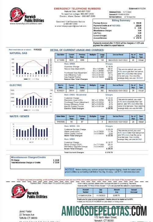 Premium AS NORWICH PUBLIC UTILITIES Tagihan Tagihan Word and PDF templat