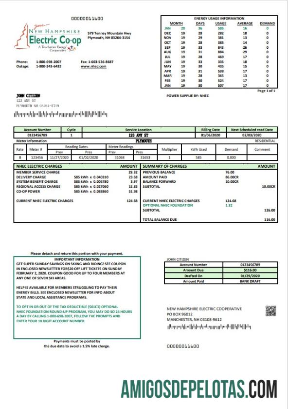 Realistis AS Baru Hampshire Electric Co op Listrik Tagihan Tagihan templat in Word and PDF format