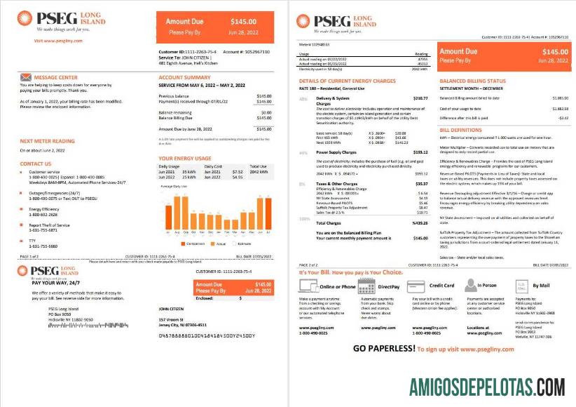 Realistis AS Baru Jersey PSEG Listrik Tagihan Tagihan templat in Word and PDF format, 2 pages