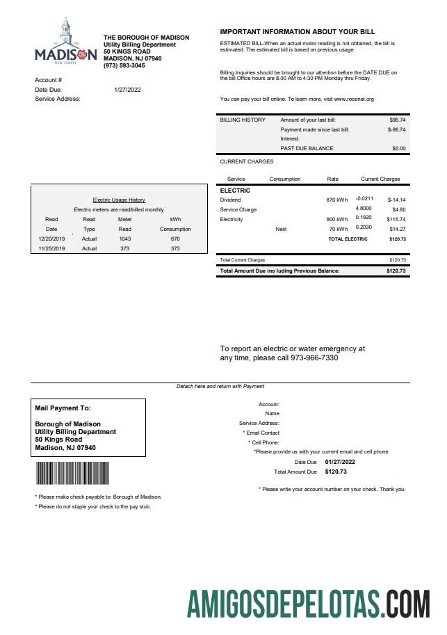 Premium AS Baru Jersey The Borough of Madison Tagihan Tagihan templat in Word and PDF format