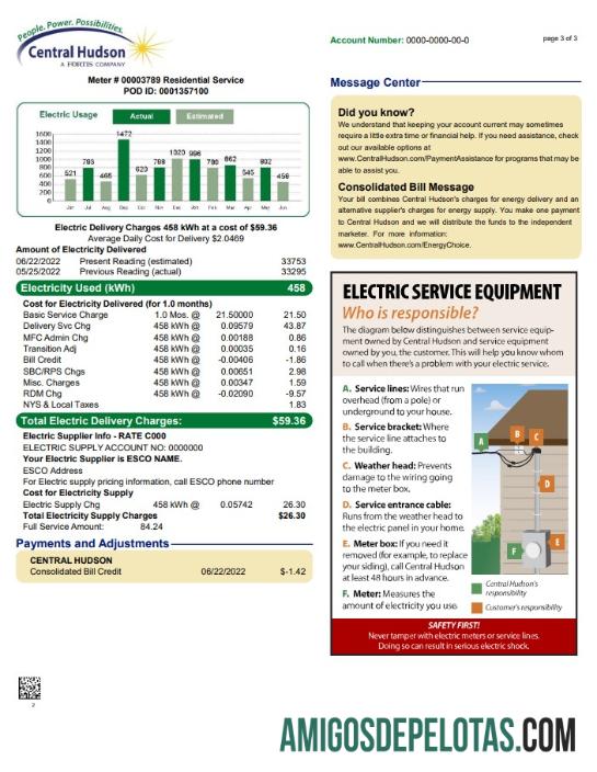 Profesional AS Baru York Central Hudson A fortis Perusahaan Tagihan Tagihan, Word and PDF templat, 3 pages 3