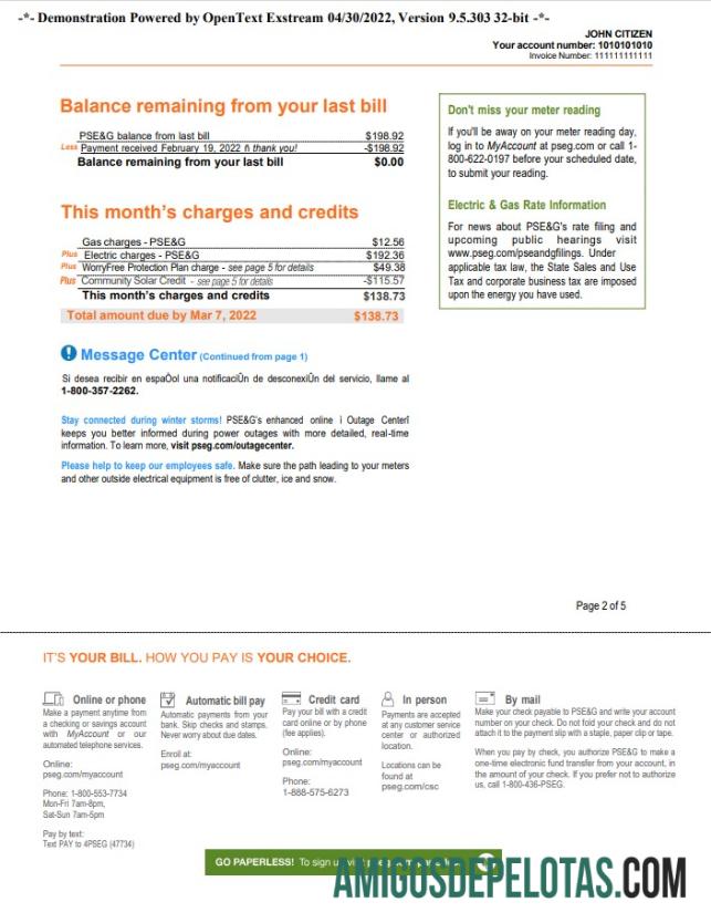 Profesional AS Baru York PSEG Tagihan Tagihan, Word and PDF templat, 5 pages 2