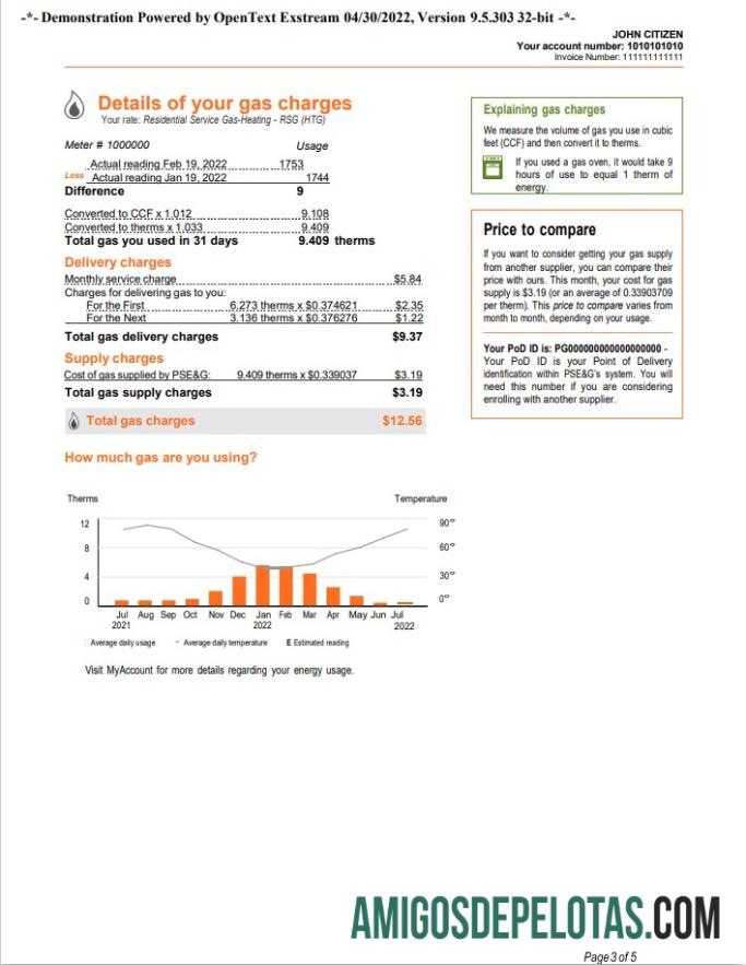 Realistis AS Baru York PSEG Tagihan Tagihan, Word and PDF templat, 5 pages 3