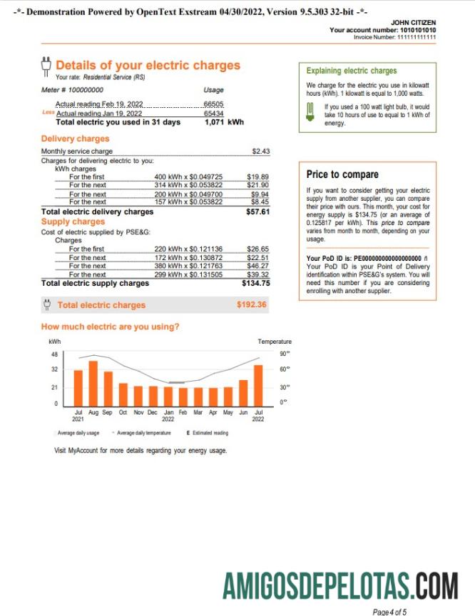 Realistis AS Baru York PSEG Tagihan Tagihan, Word and PDF templat, 5 pages 4