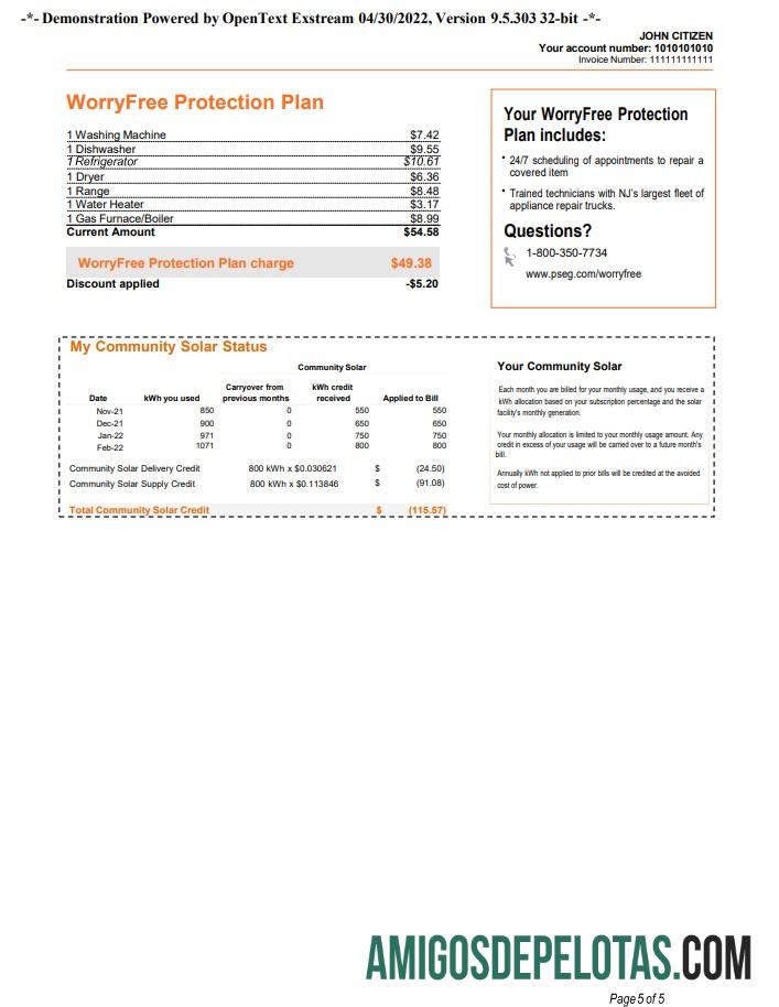 Berkualitas AS Baru York PSEG Tagihan Tagihan, Word and PDF templat, 5 pages 5