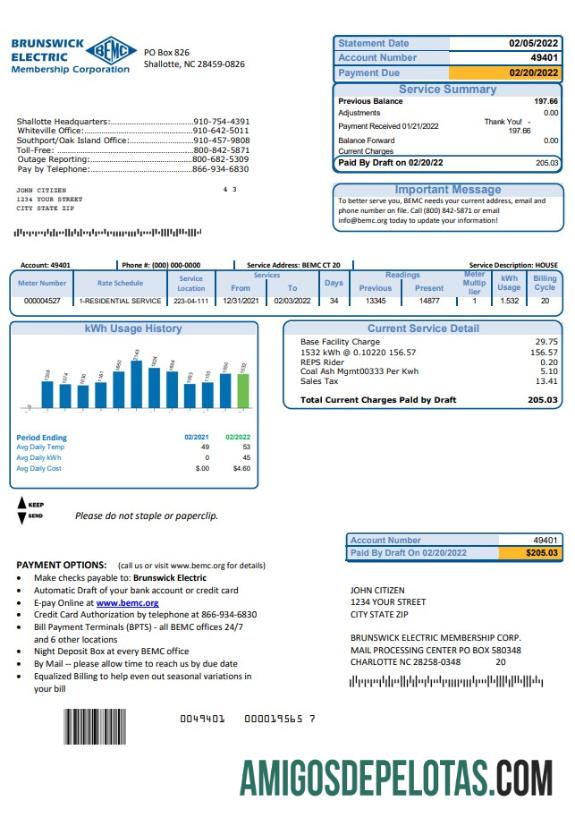 Realistis AS North Carolina Brunswick Electric Tagihan Tagihan templat in Word and PDF format