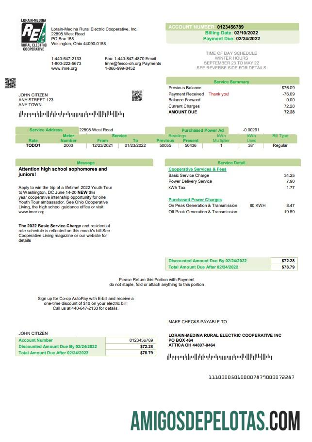 Profesional AS Ohio Lorain Medina Rural Electric Tagihan Tagihan templat in Word and PDF format