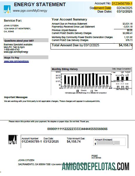 Profesional AS PG&E Tagihan Tagihan templat in Word and PDF format, versi 2
