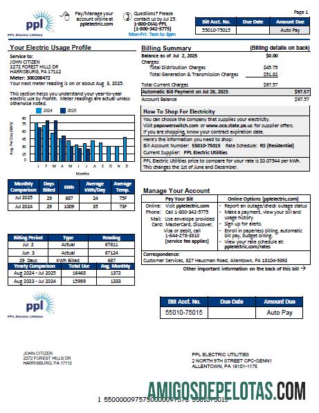 Berkualitas AS PPL Electric Tagihan Tagihan templat in Word and PDF format, versi 3