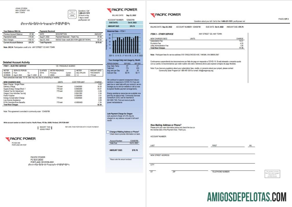 Profesional AS Pacific Power Tagihan Tagihan, Word and PDF templat, 2 pages