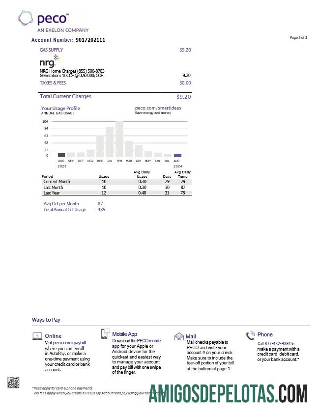 AS Pennsylvania PECO electric and Gas Tagihan Tagihan, 3 pages 2 templat