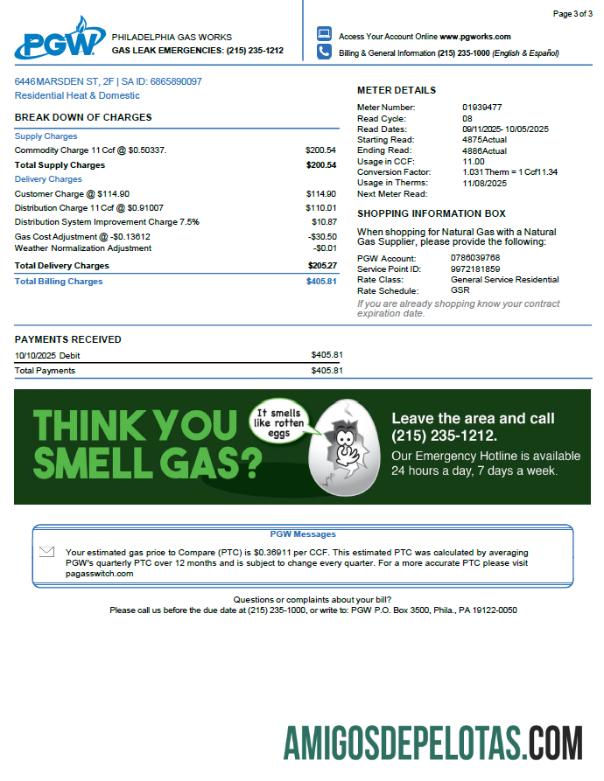 Profesional AS Philadelphia Gas Works Tagihan Tagihan templat in Word and PDF format, 3 pages. 3rd Halaman
