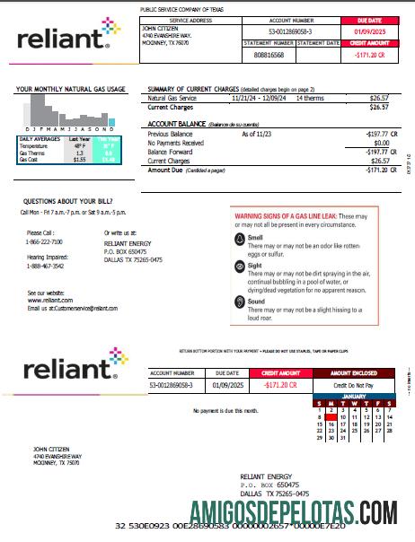 Realistis AS Reliant Energy Tagihan Tagihan templat in Word and PDF format