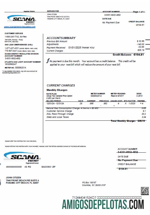 Realistis AS SCANA Energy Tagihan Tagihan templat in Word and PDF format