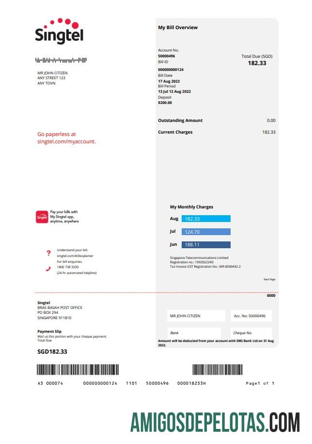 Profesional AS Singtel Tagihan Tagihan templat in Word and PDF format