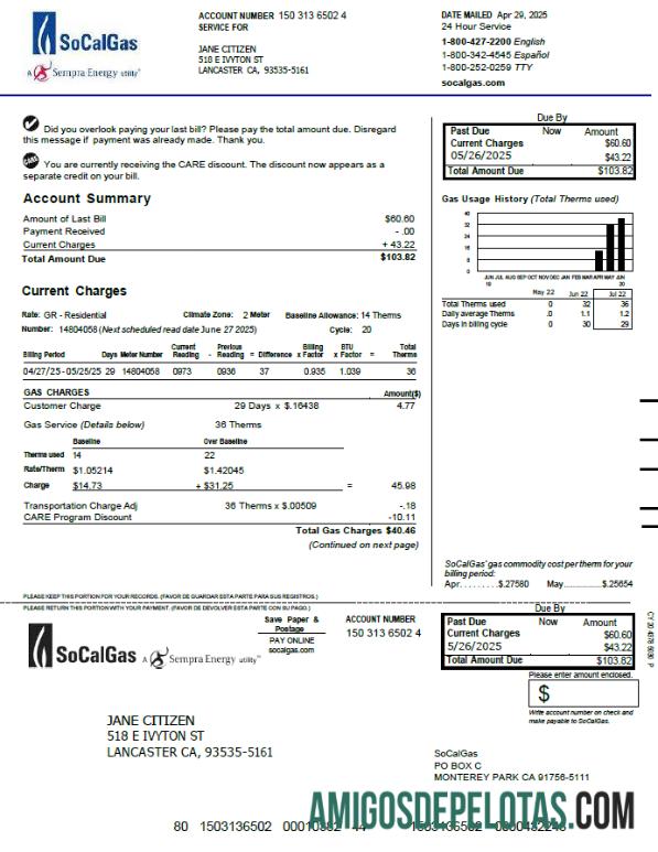 Profesional AS So Cal Gas Tagihan Tagihan templat in Word and PDF format, versi 3