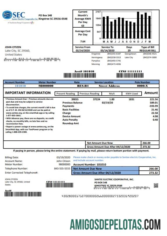Realistis AS South Carolina Santee Electric Cooperative (SEC) proof of address Tagihan Tagihan templat in Word and PDF format