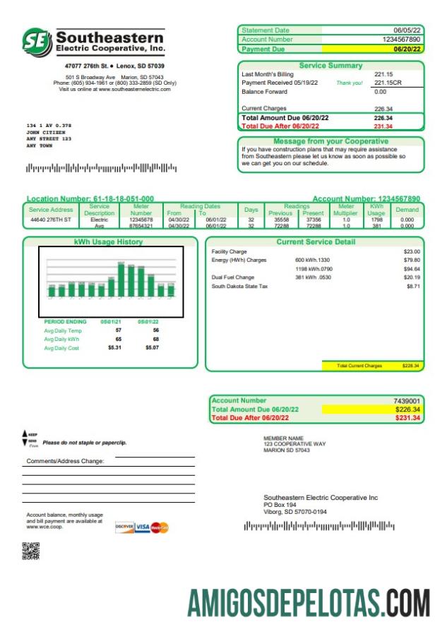Berkualitas AS South Dakota Southeastern Electric Tagihan Tagihan templat in Word and PDF format