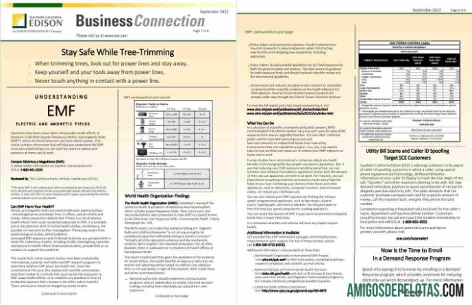 Premium AS Southern California EDISON Tagihan Tagihan, Word and PDF templat, 8 pages 7 8