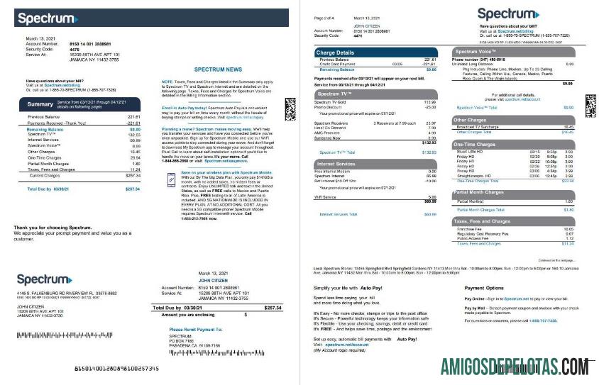 Profesional AS Spectrum Tagihan Tagihan templat in Word and PDF format (4 pages) 1 2