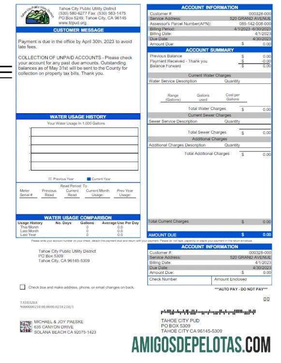 Realistis AS TAHOE CITY PUBLIC Tagihan Tagihan Tagihan Word and PDF templat