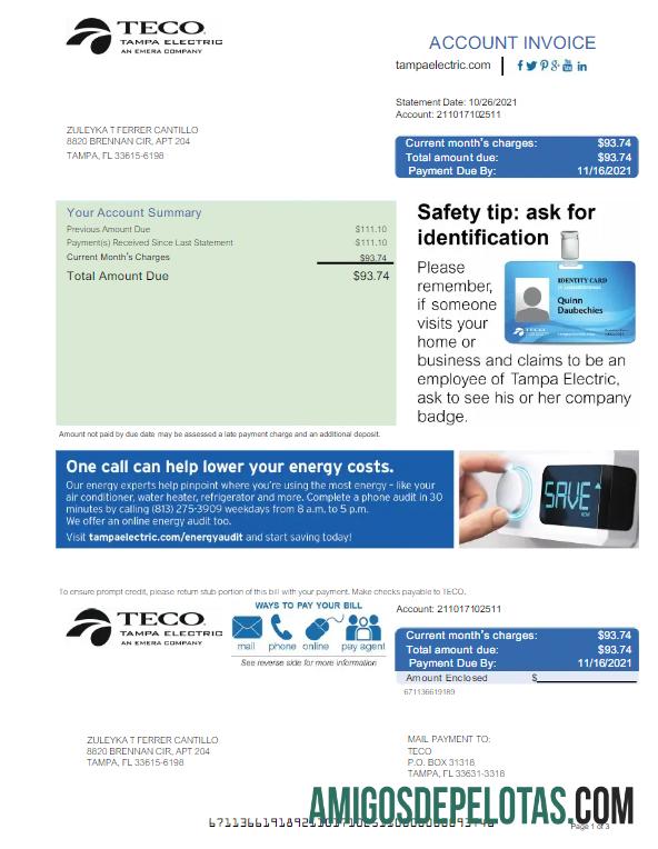 Profesional AS TECO Tagihan Tagihan Word and PDF templat