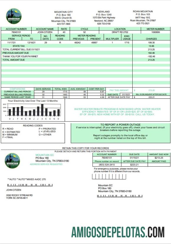 Premium AS Tennessee Mountain Electric Cooperative, Inc. (MEC) Tagihan Tagihan templat in Word and PDF format